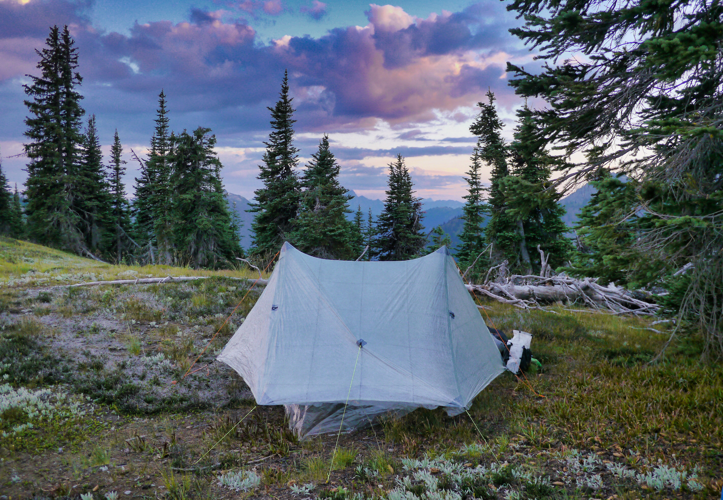 ZPacks Duplex Tent review — Willis Wall ZPacks Duplex Tent review — Willis Wall